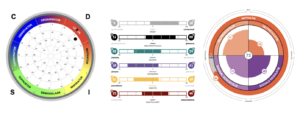 Assessments voor teamontwikkeling, identificatie van verborgen talenten, gedragsanalyse